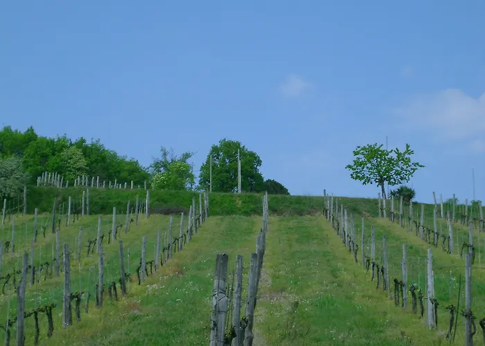 Hotel Admiral Park By Falco D'oro 4*