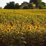 Hotel Admiral Park By Falco D'oro 4*