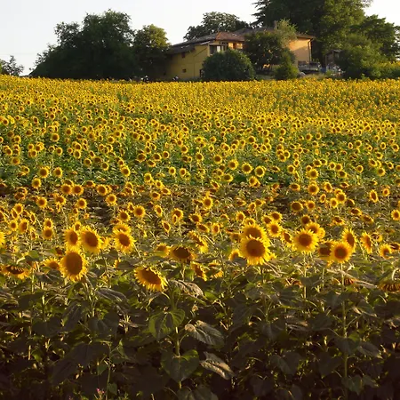 Hotel Admiral Park By Falco D'oro 4*