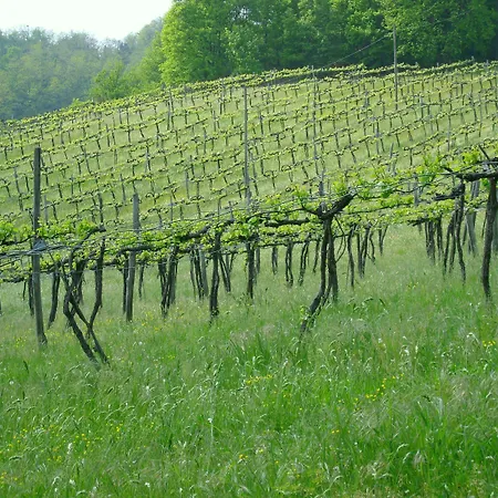 Hotel Admiral Park By Falco D'oro