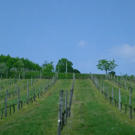 Hotel Admiral Park By Falco D'oro 4*