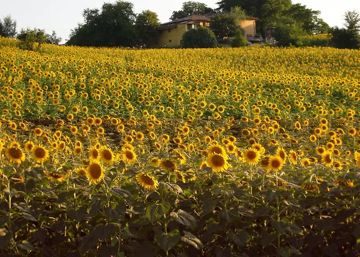 Hotel Admiral Park By Falco D'oro 4*