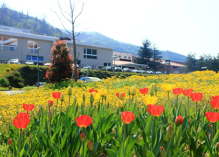 Admiral Park By Falco D'oro Hotel 4*