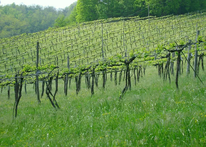 Szálloda Admiral Park By Falco D'oro